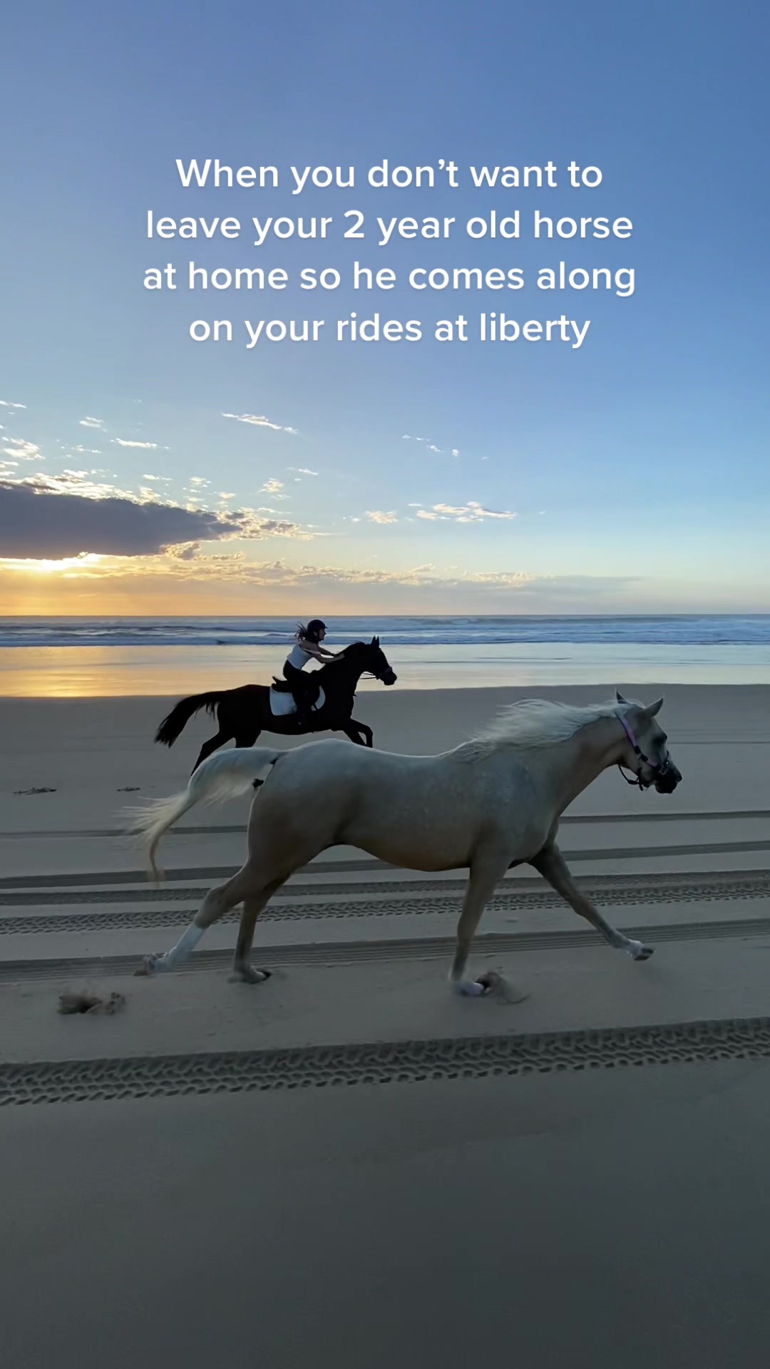 @Myhorsewillow