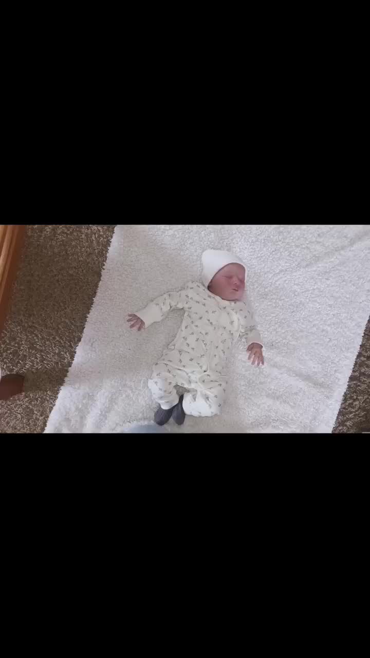 @Dutch.reborn