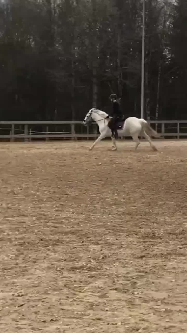 @Följer tbx 110%❤️