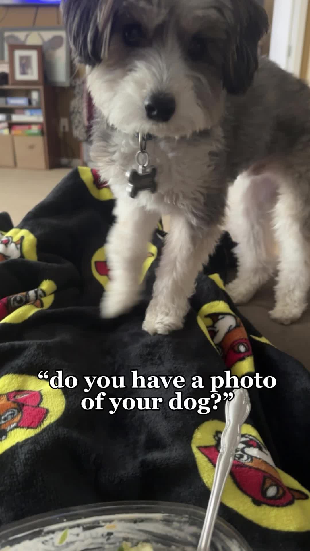 @kayla