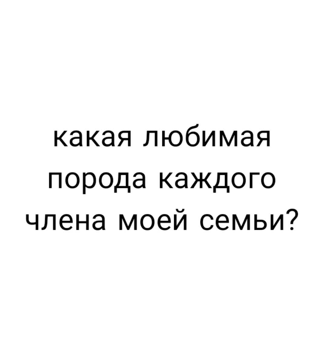 @недопонятый гений
