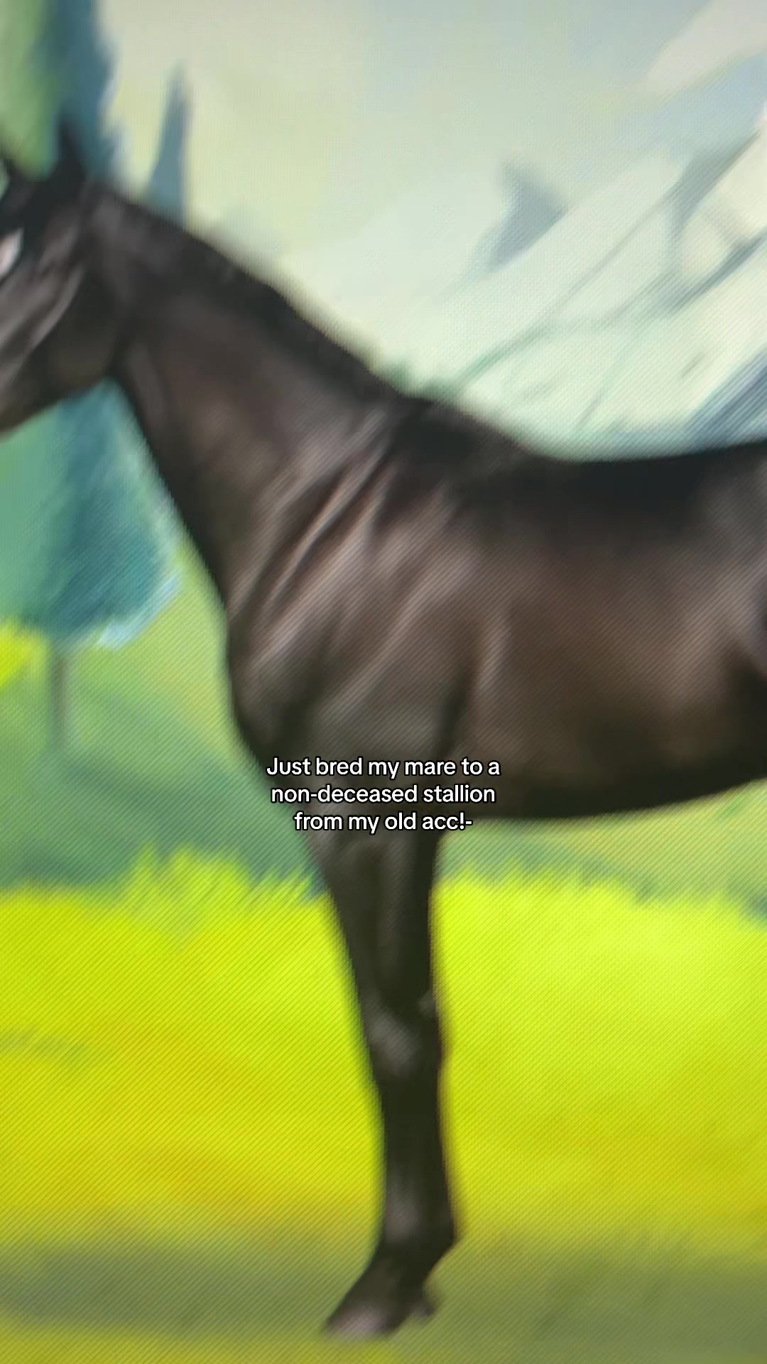 @￼&ensp;recommendations