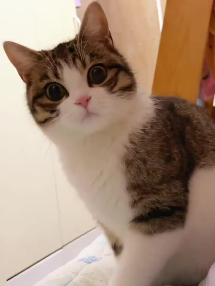 @Lin