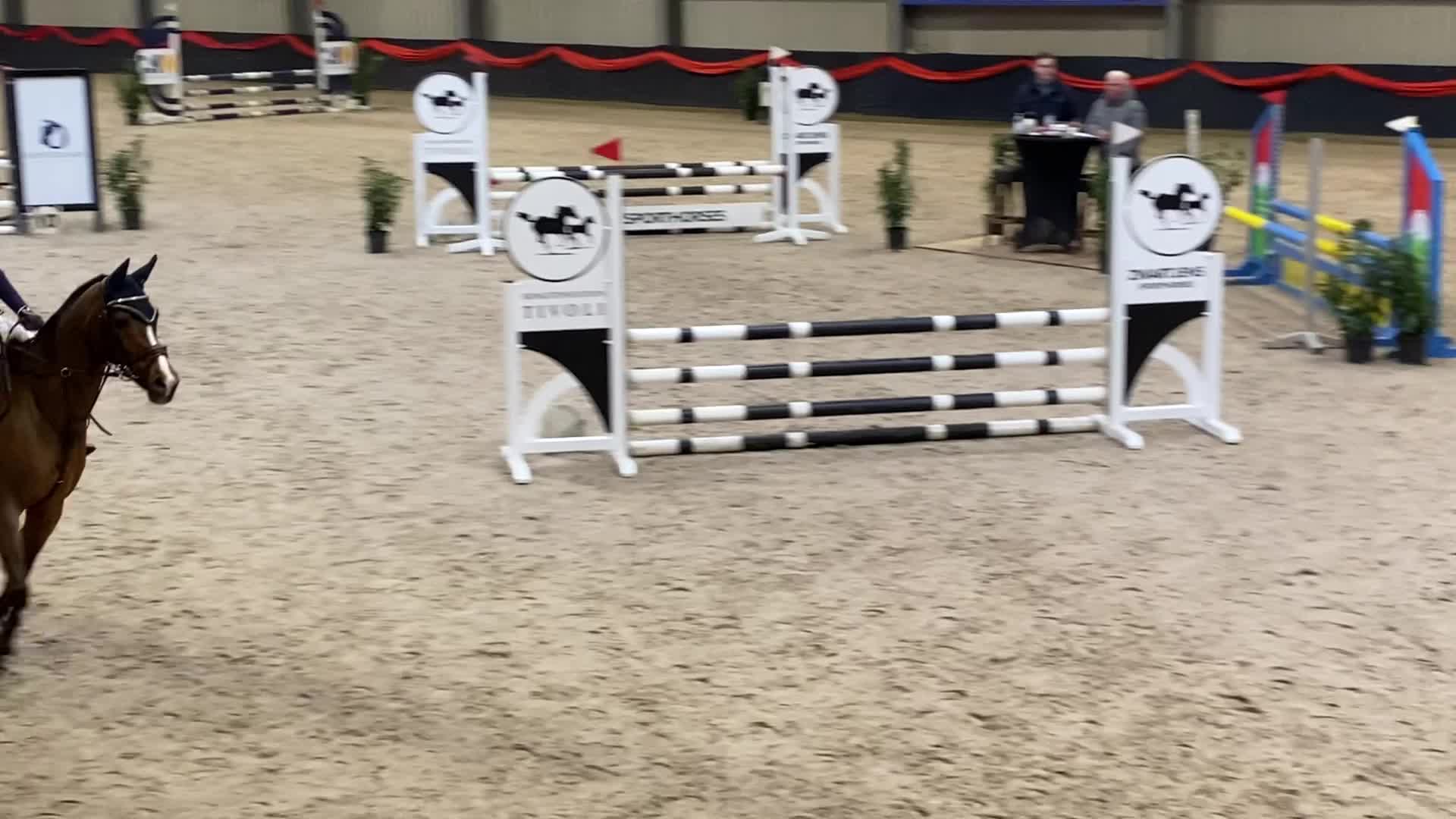 @allroundxgroep🩷🐴