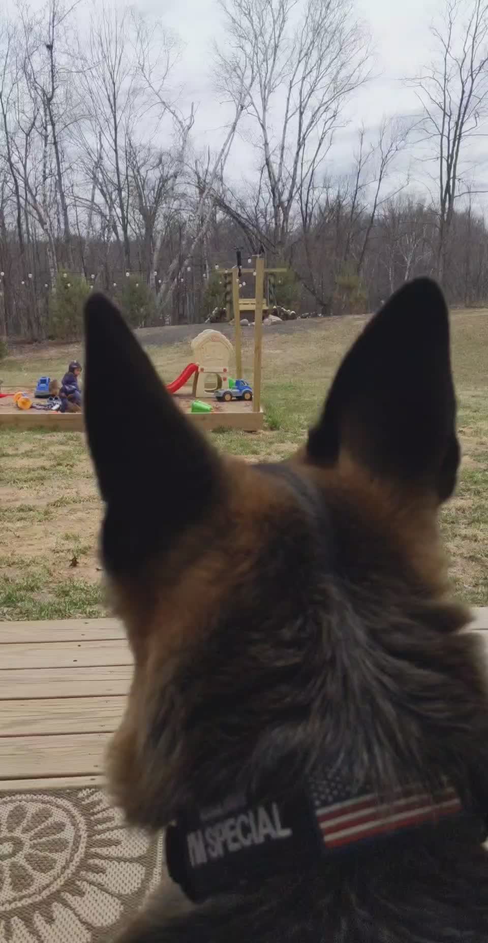 @Kolt - GSD