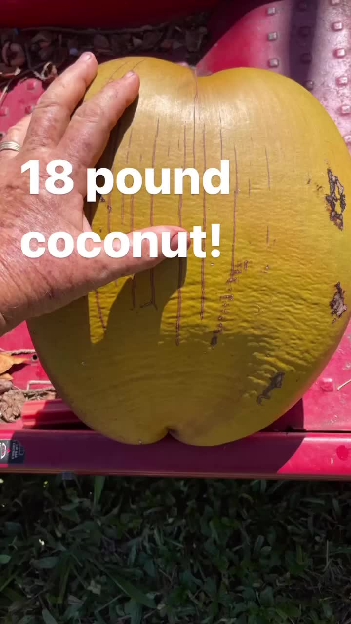 @kumuainafarms