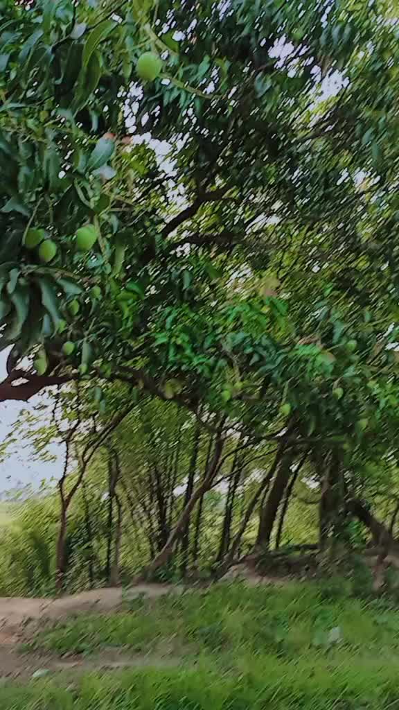 @༒🅑🅛🅐🅒🅚☠ᗫ&euro;vίᏝ༒,