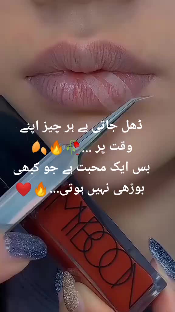@Ayesha noor