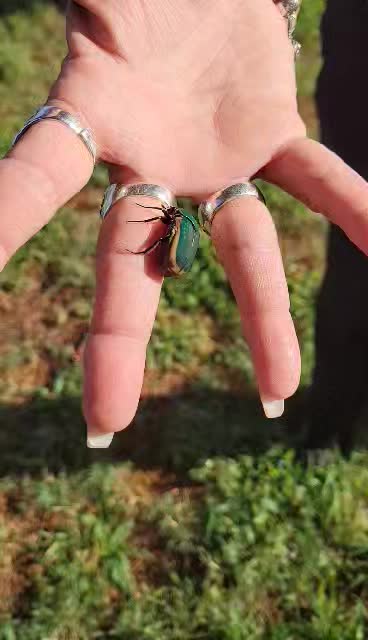 @mySRlife63