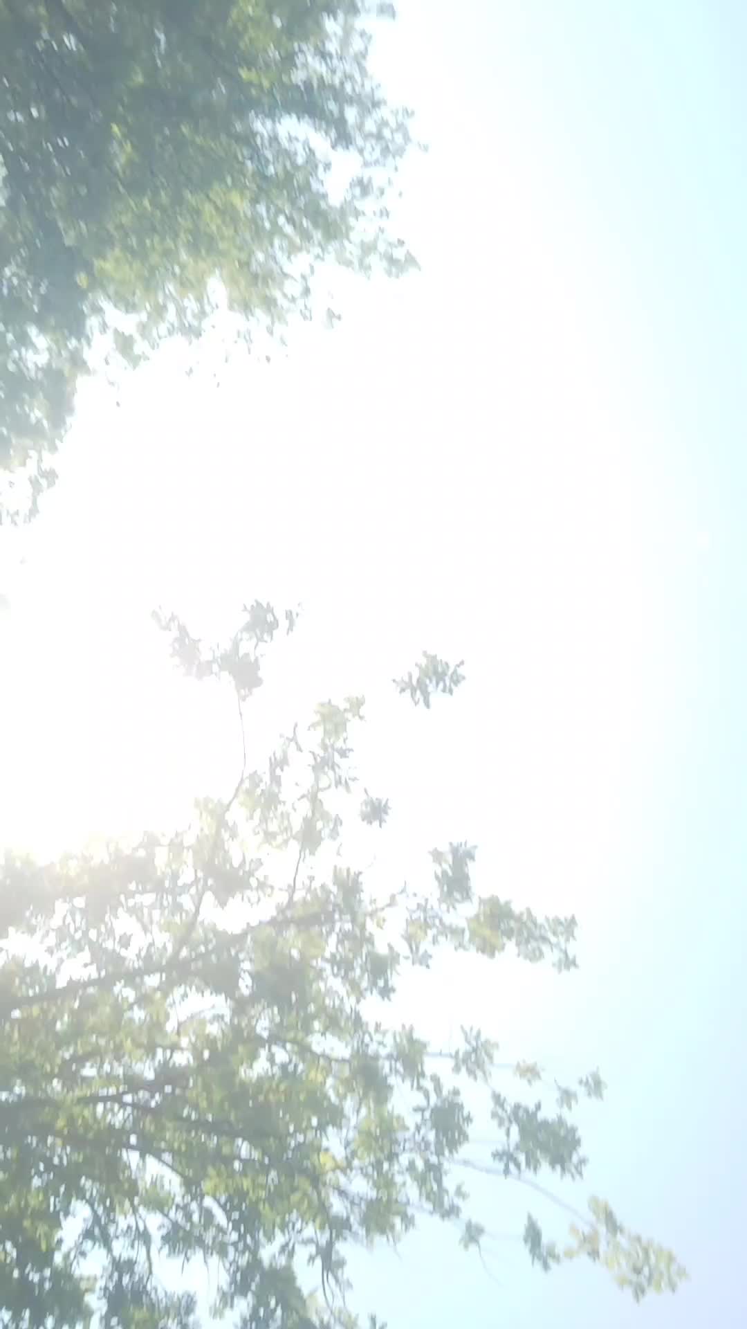 @𝕱𝖎𝖘𝖈𝖍𝖎