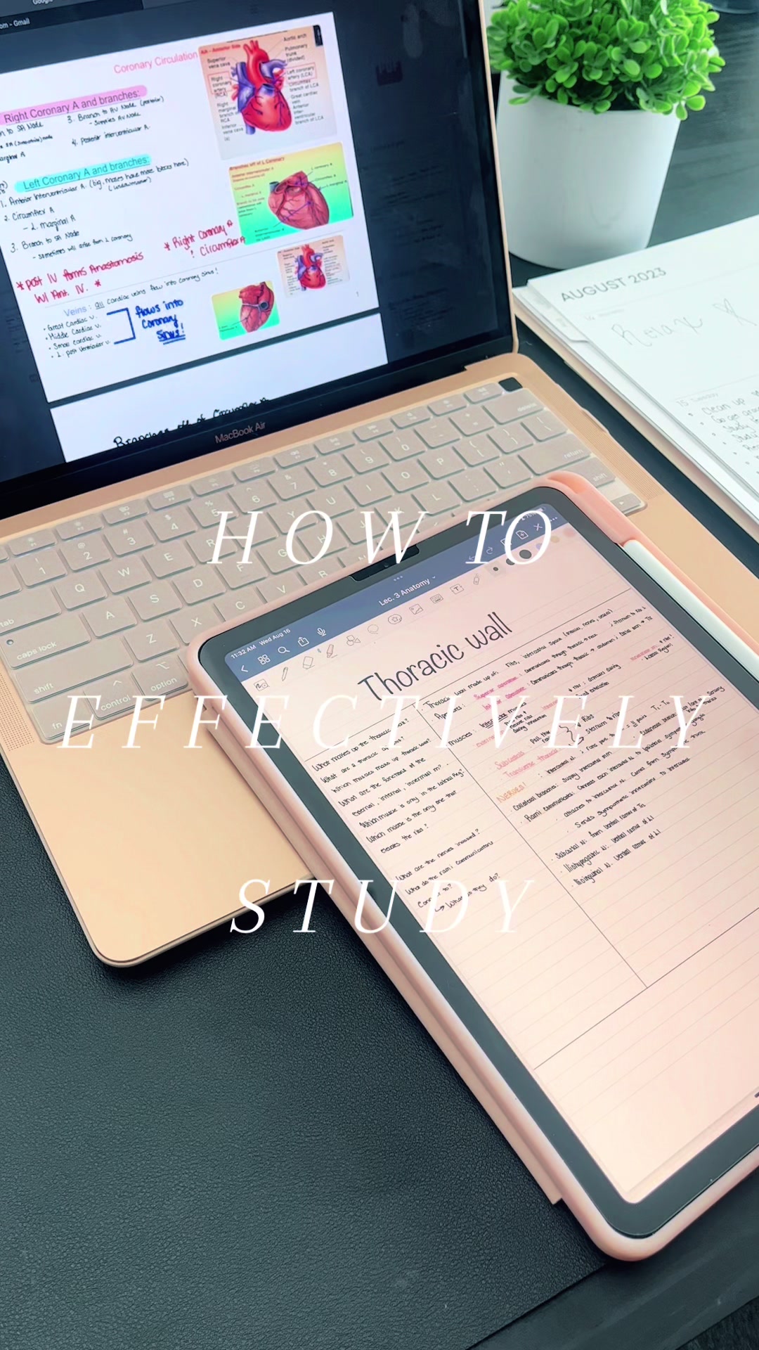 @1minutelearning