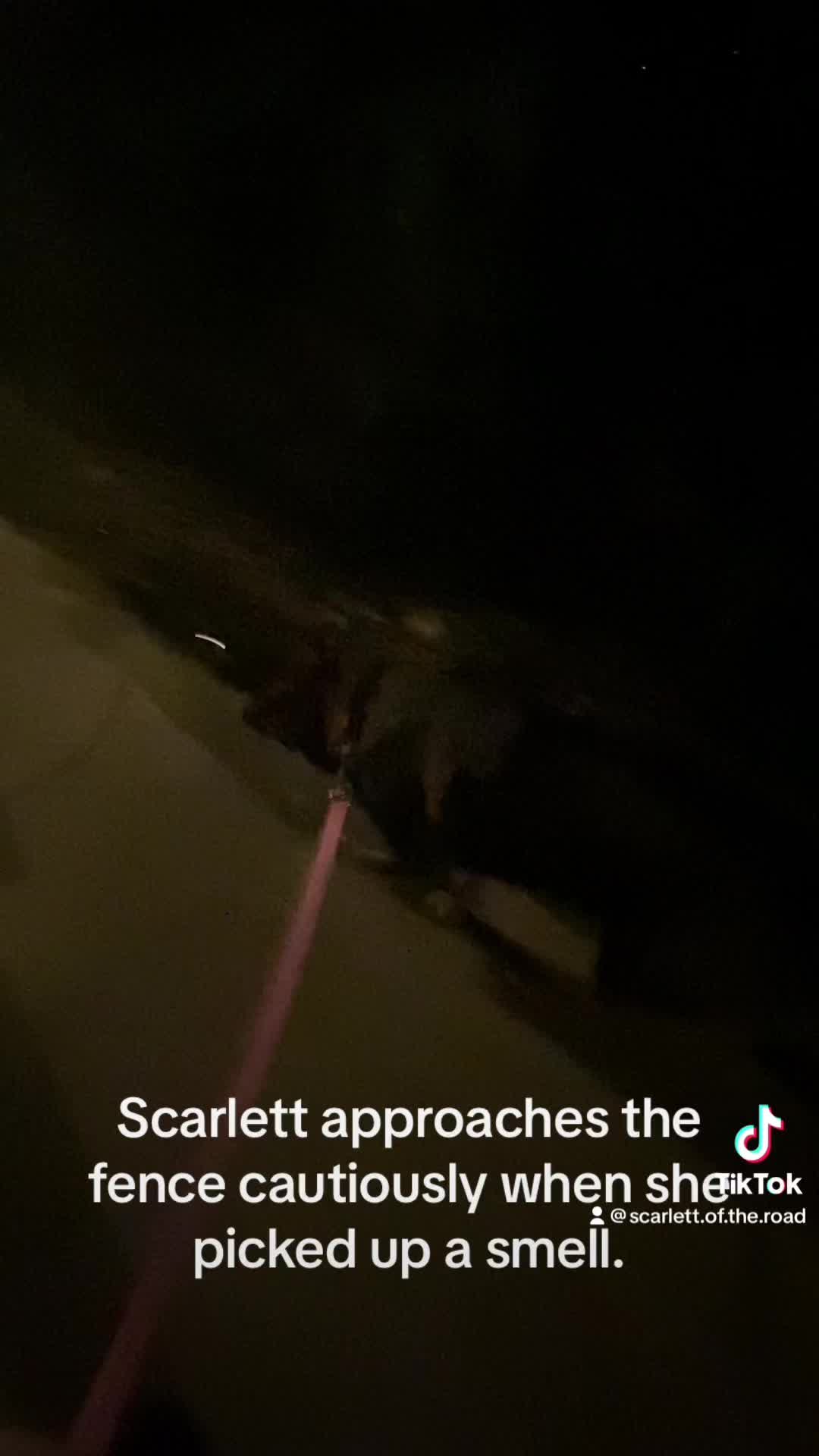 @Scarlett ESD SDiT
