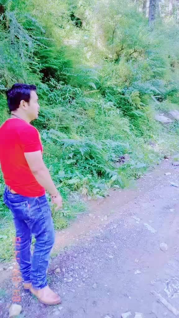 @Dinesh Dhading
