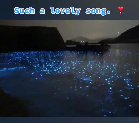 @Wali