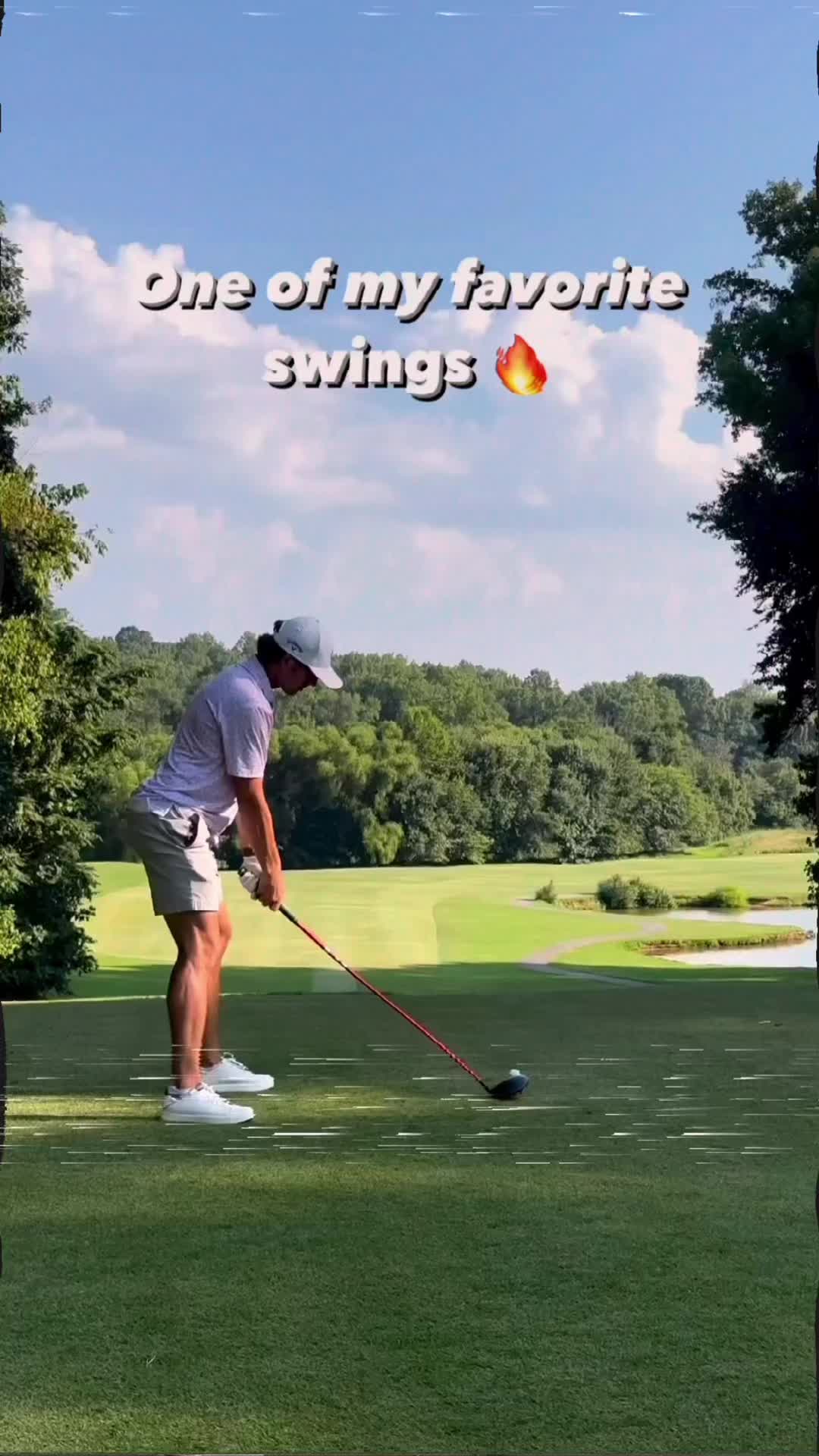 @Swing Bird