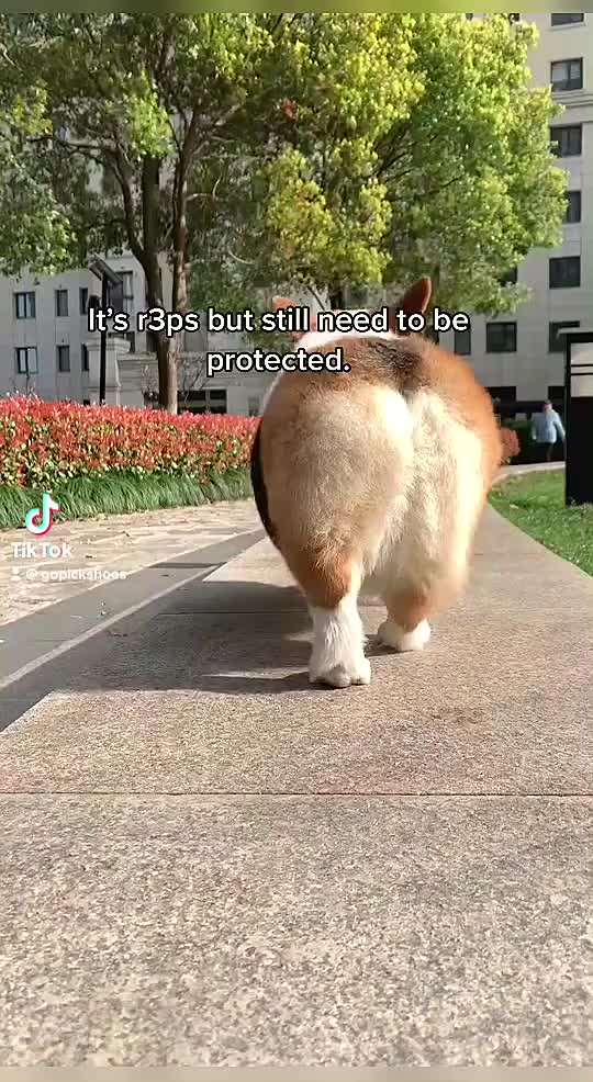 @bgd943