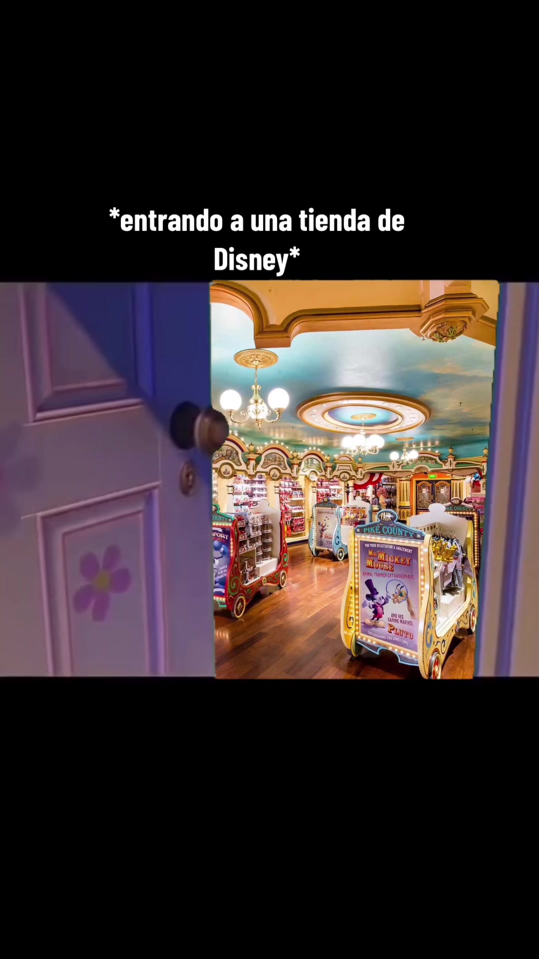 @Magic Forever Vacation 💜