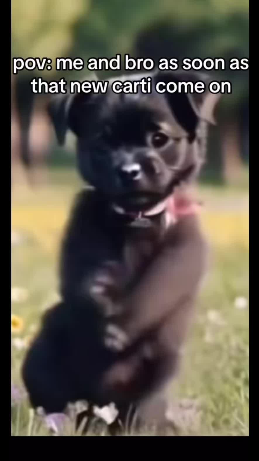 @TikTok Nyheter
