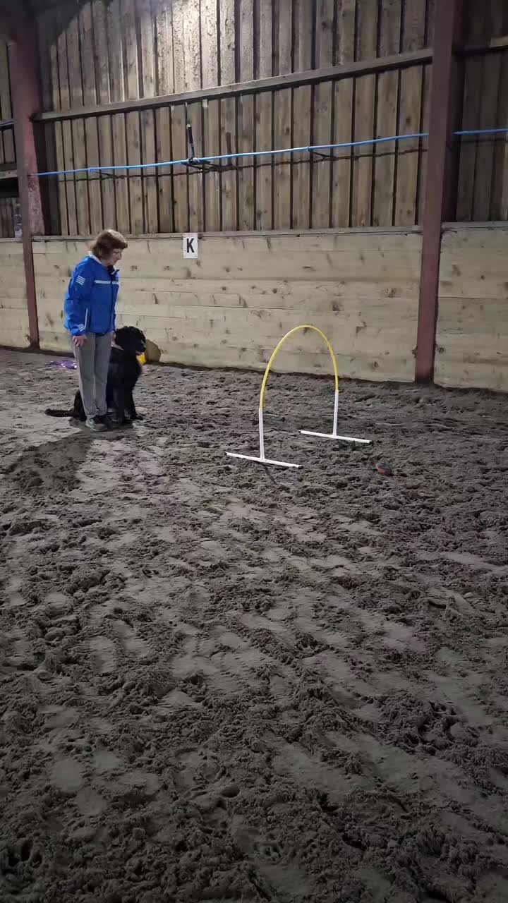 @Paw By Paw Dog Training