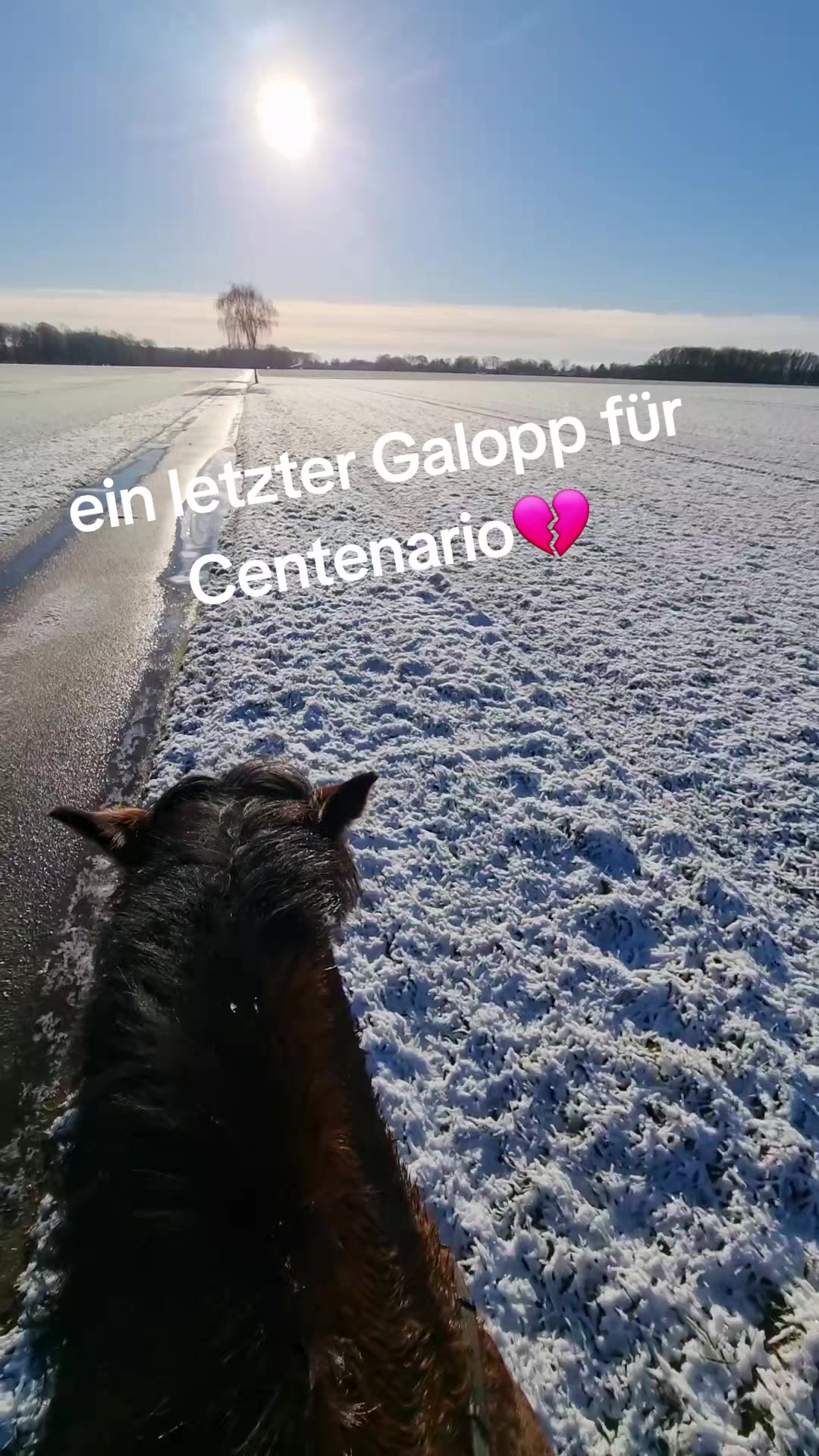 @die_van_fresserinchens