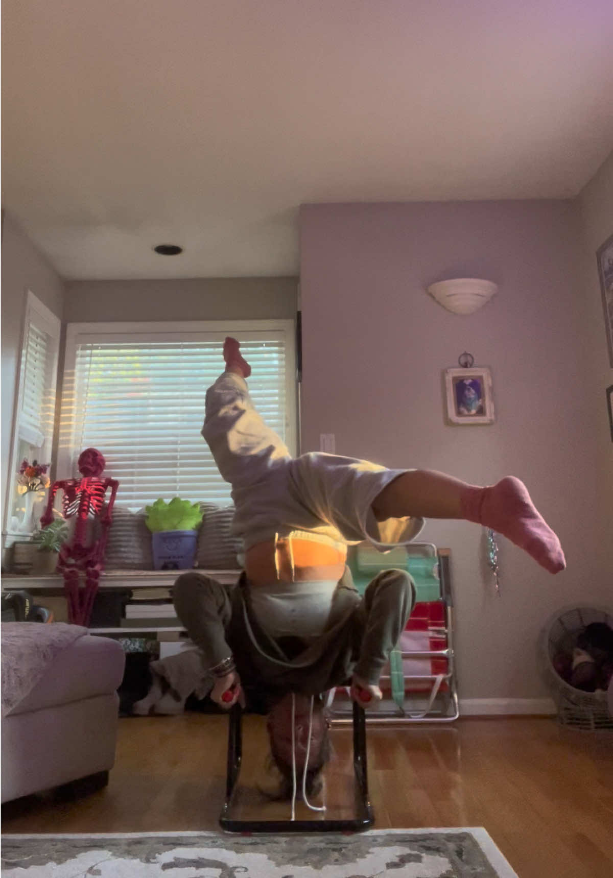 @gardengirl8440
