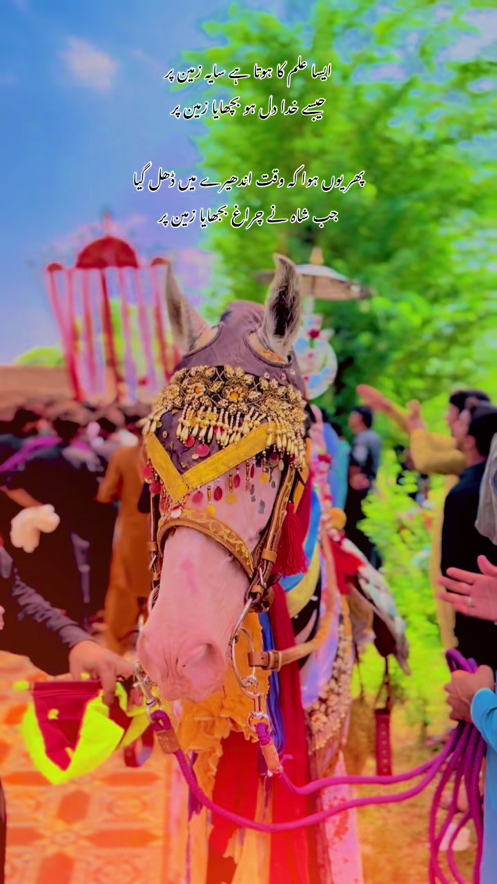 @وَقَا ص بِن شَہباز🏴