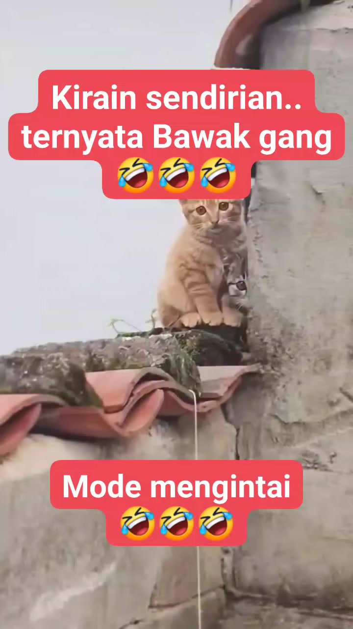 @dwikaputramahardika