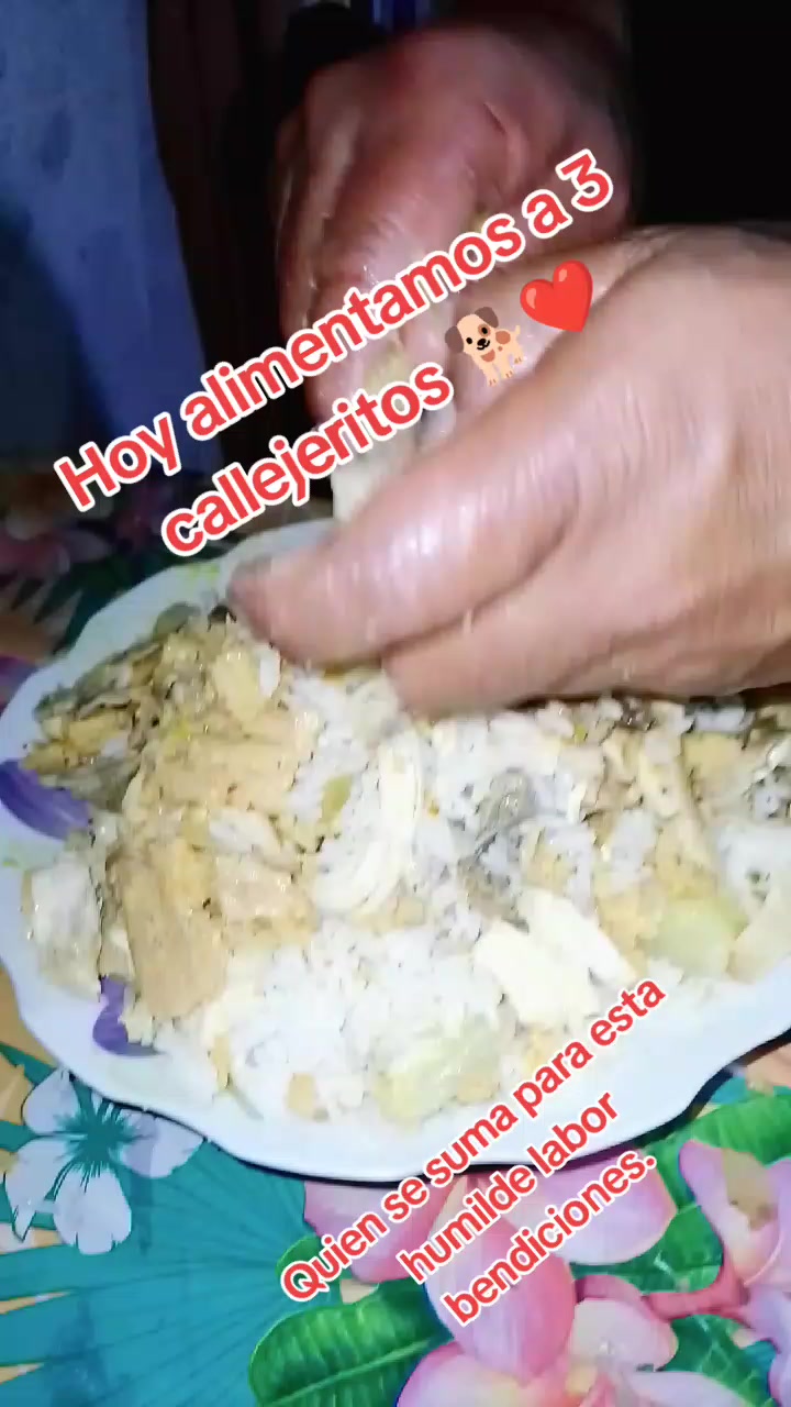 @🌷 Sarita y los callejeritos
