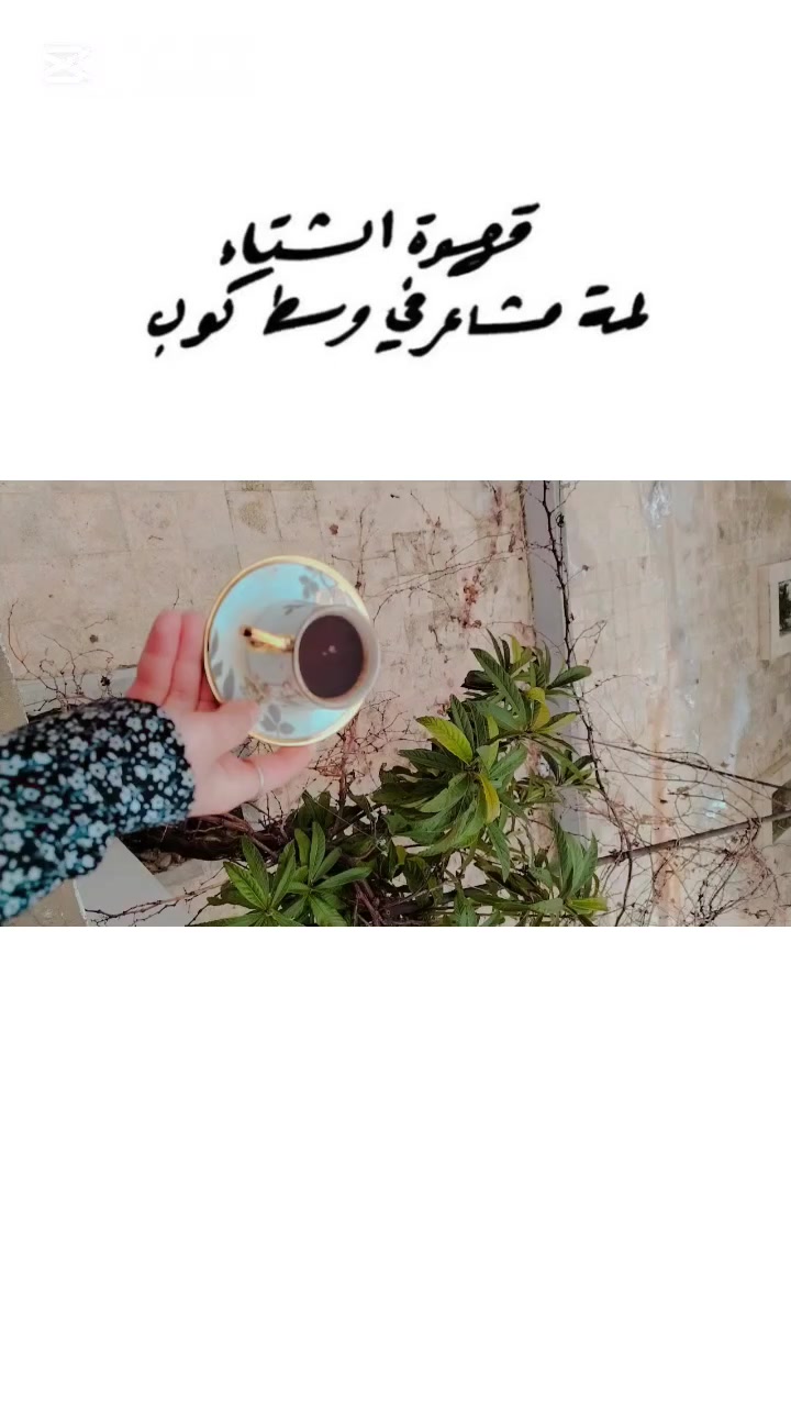 @🎀ً حـــلــوة هــالحـــي 🎀