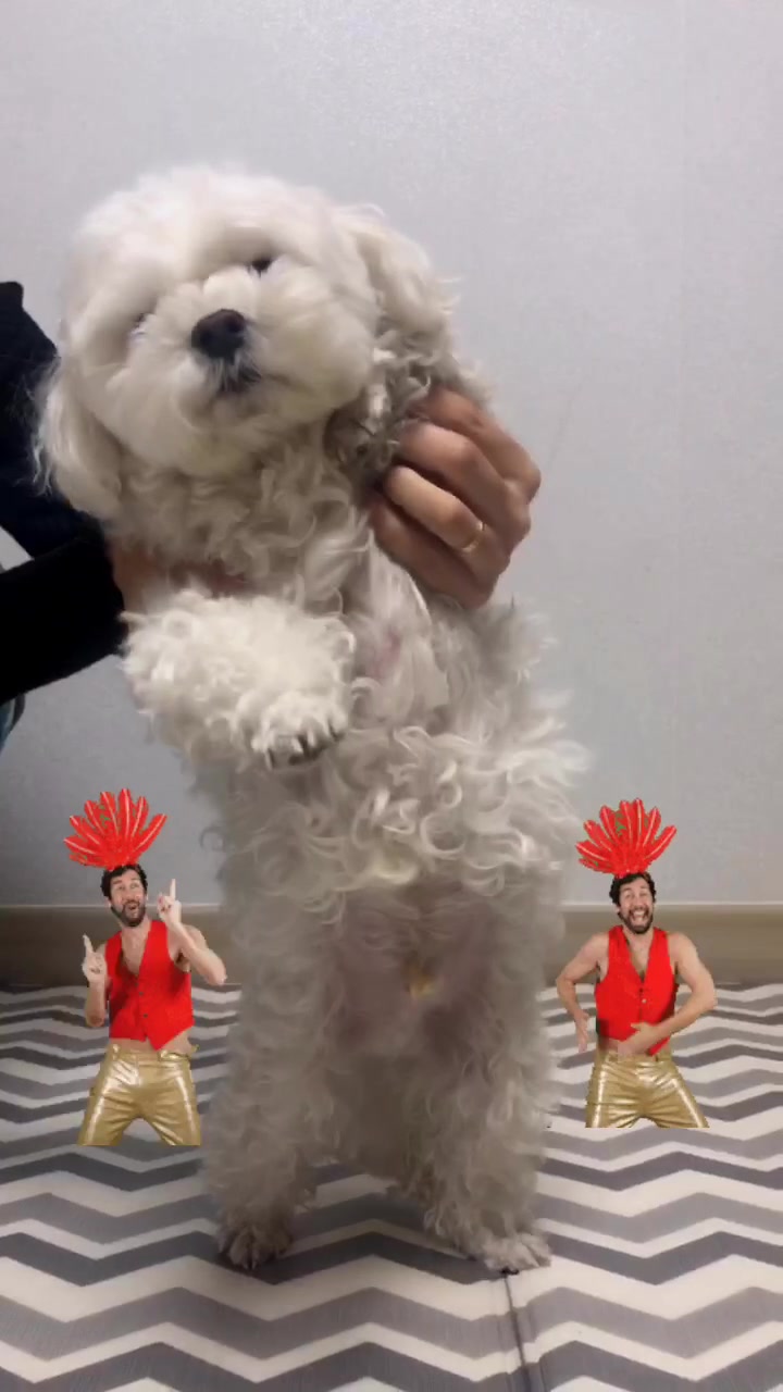 @또꾸네