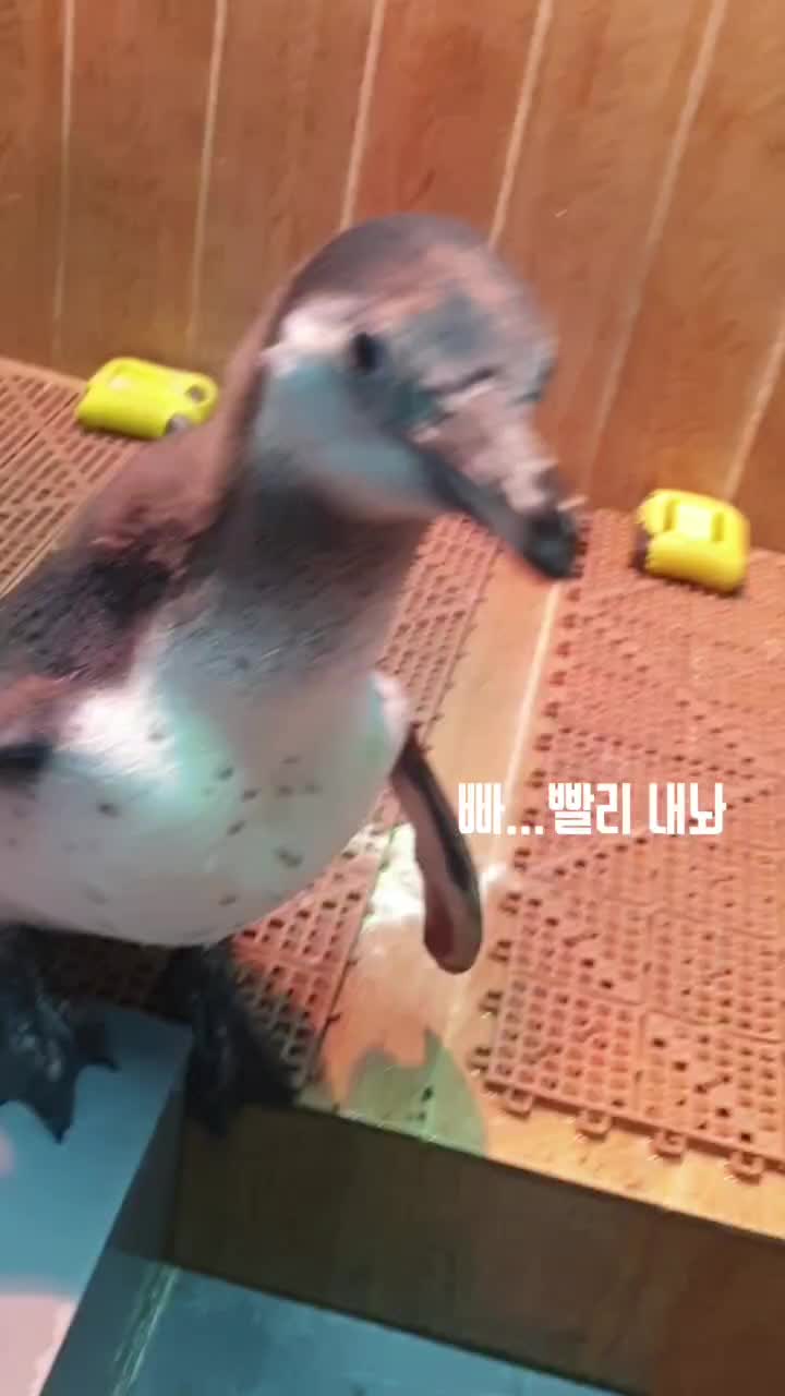@수지큐