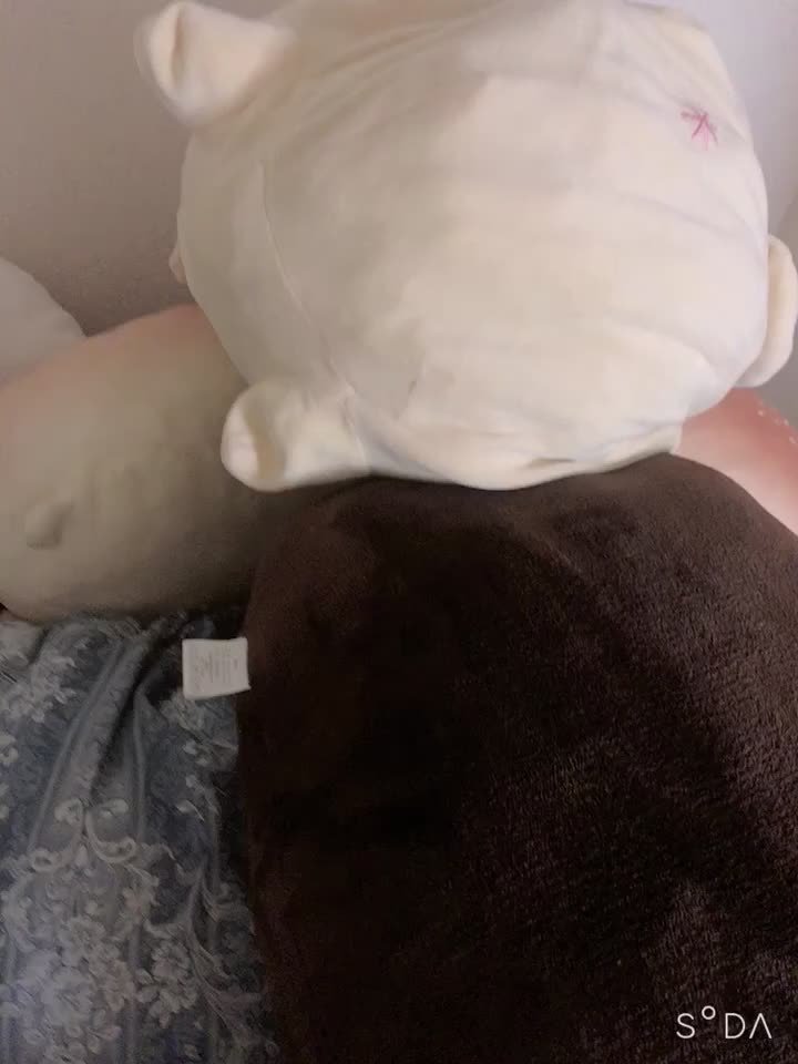 @いぬまァ