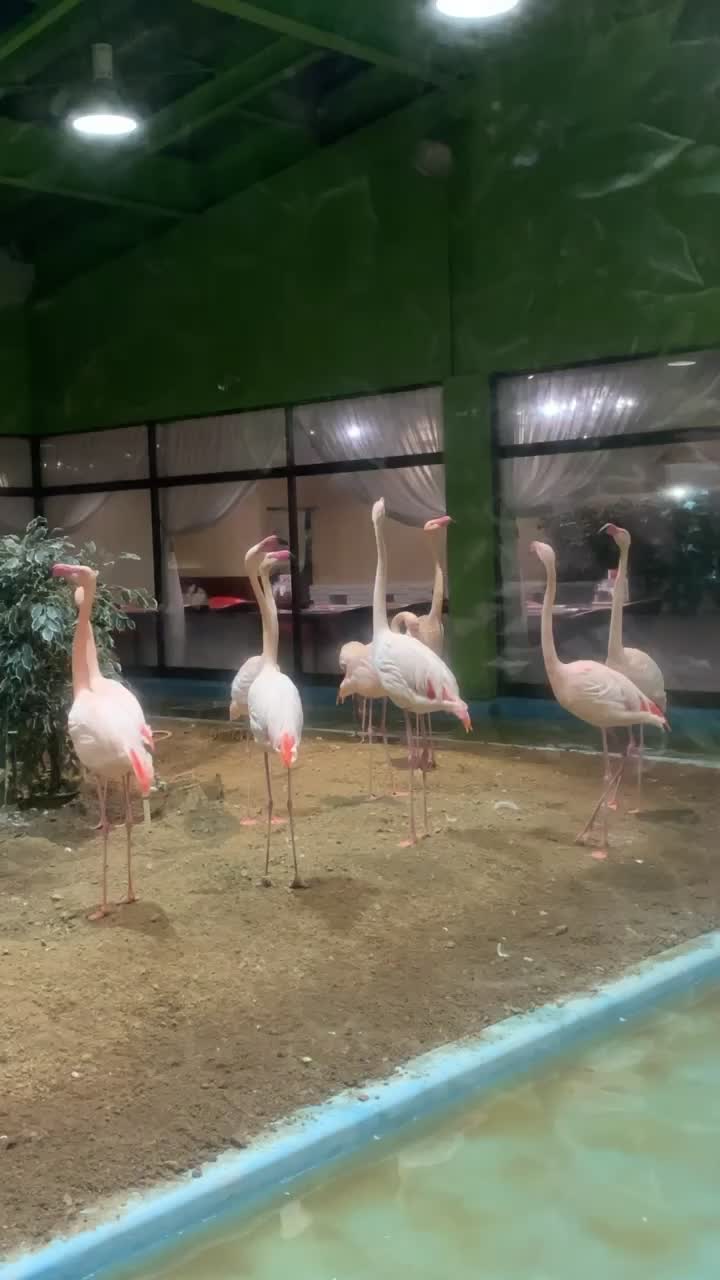 @株式会社　山惠