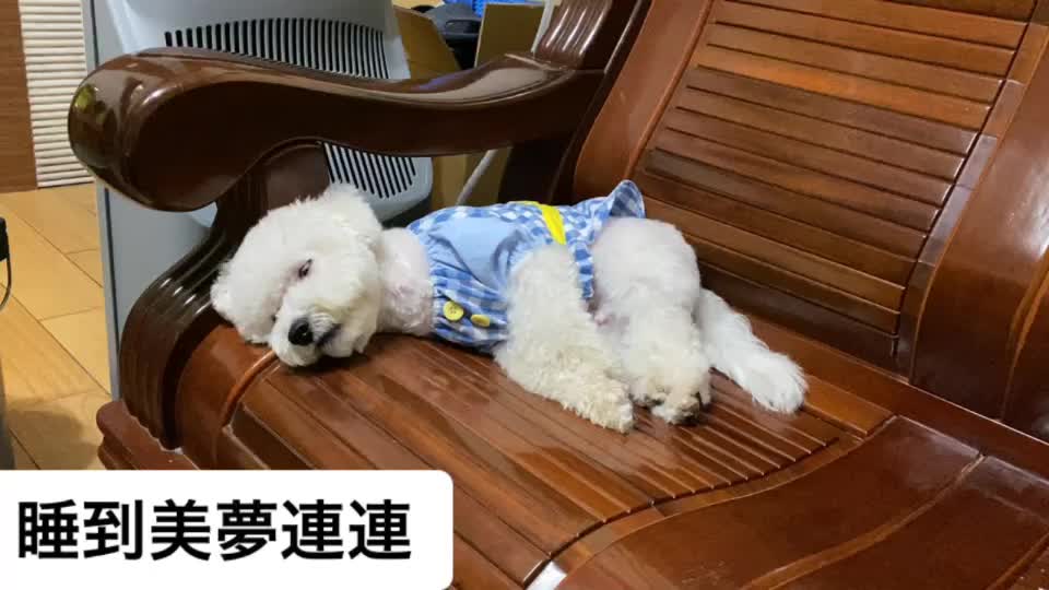 @哈尼