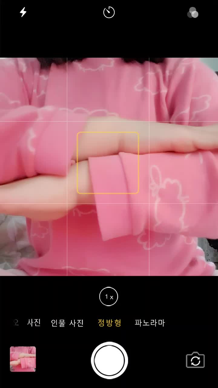 @단풍나무