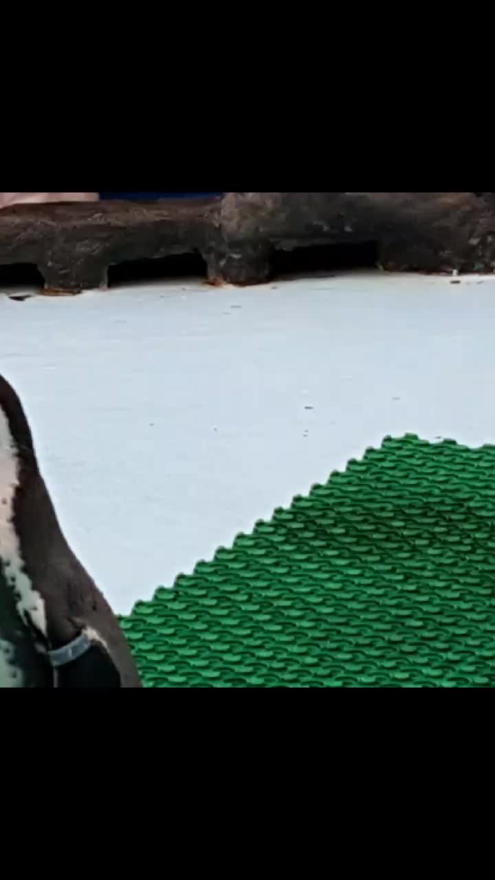 @{티유☆}
