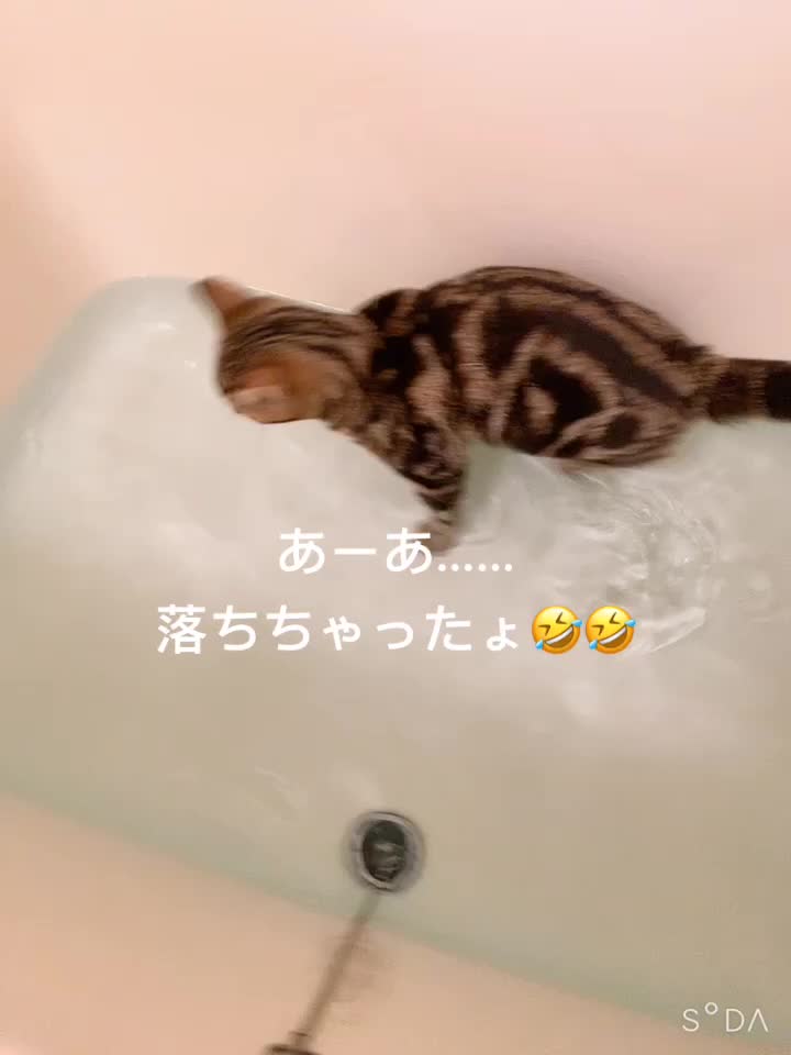 @𝕐&𝕐