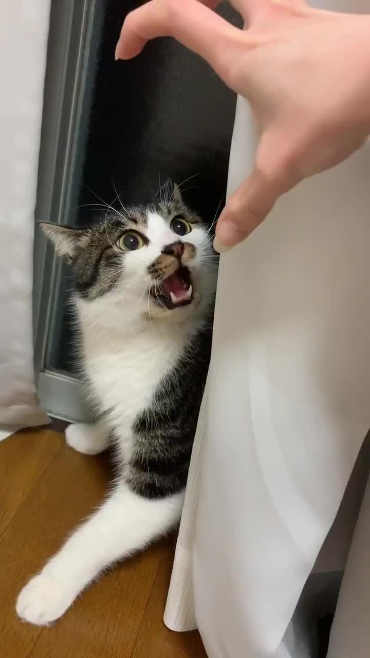 @°ส๐ฉตษ°