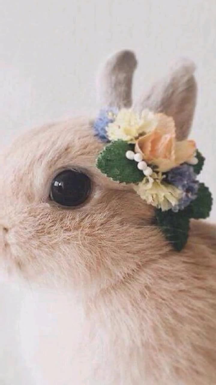 @park_chimmy