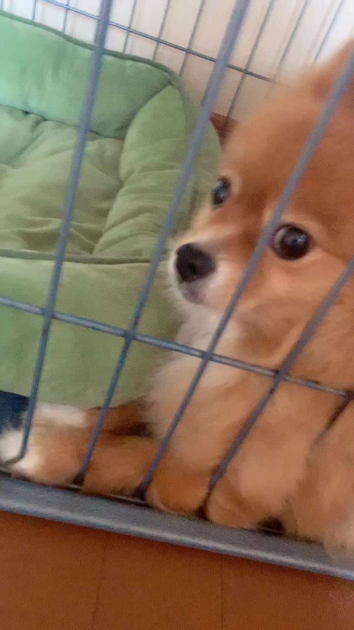 @聖と輝
