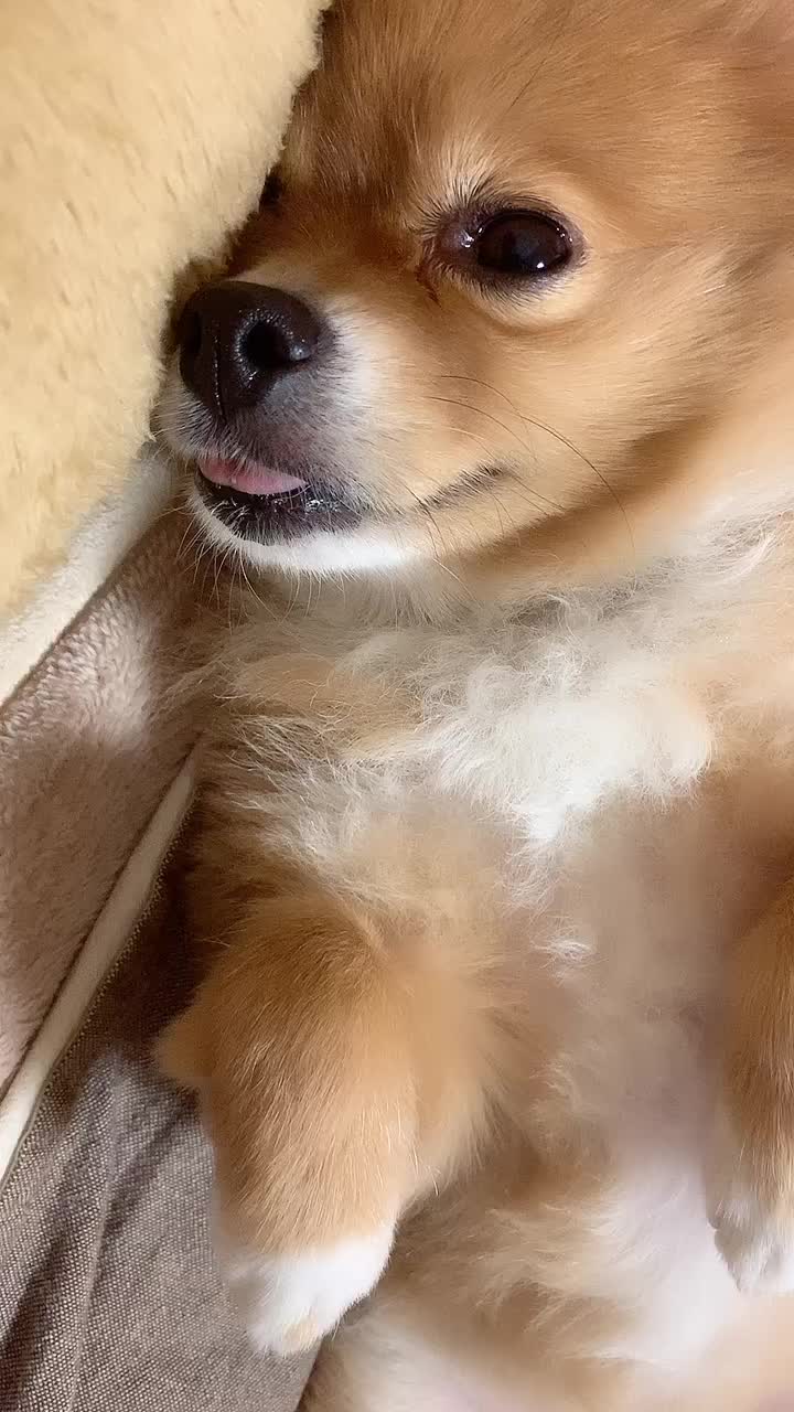 @聖と輝