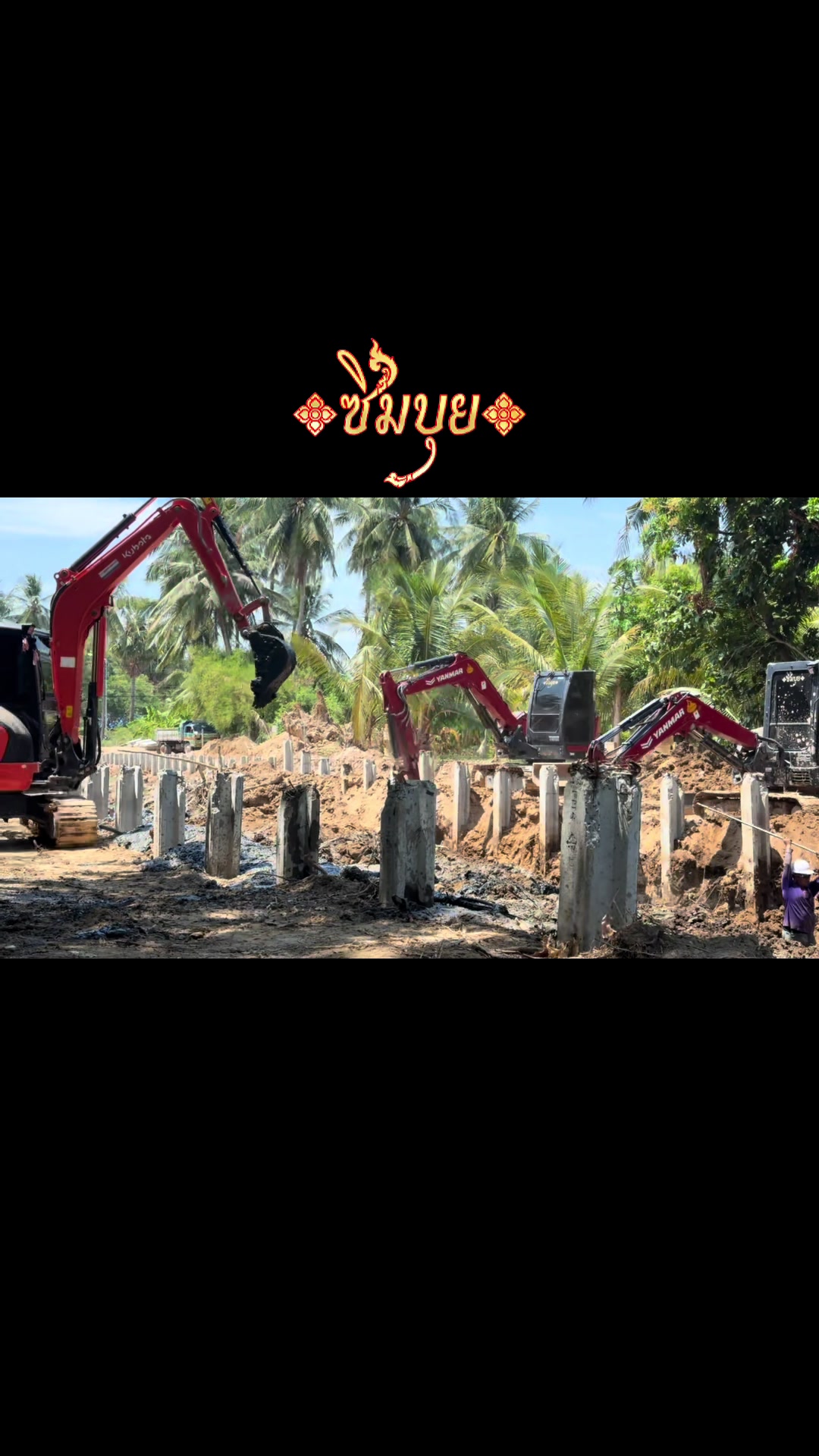 @CEO ซิมบุย🧧เฮียต๋อง