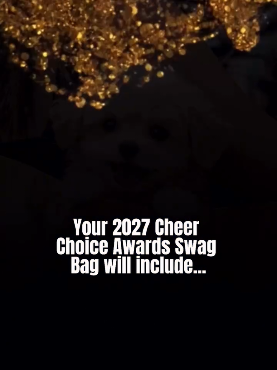 @Cheer Choice Awards