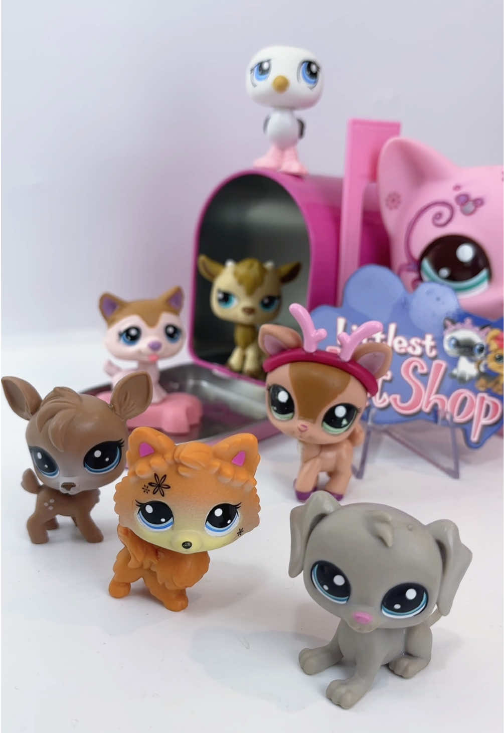 @LPSToyBox