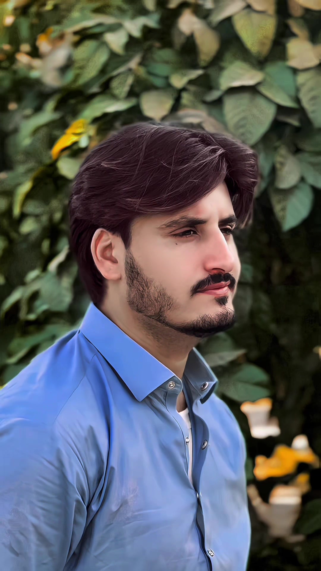 @Rehmaan Masoud