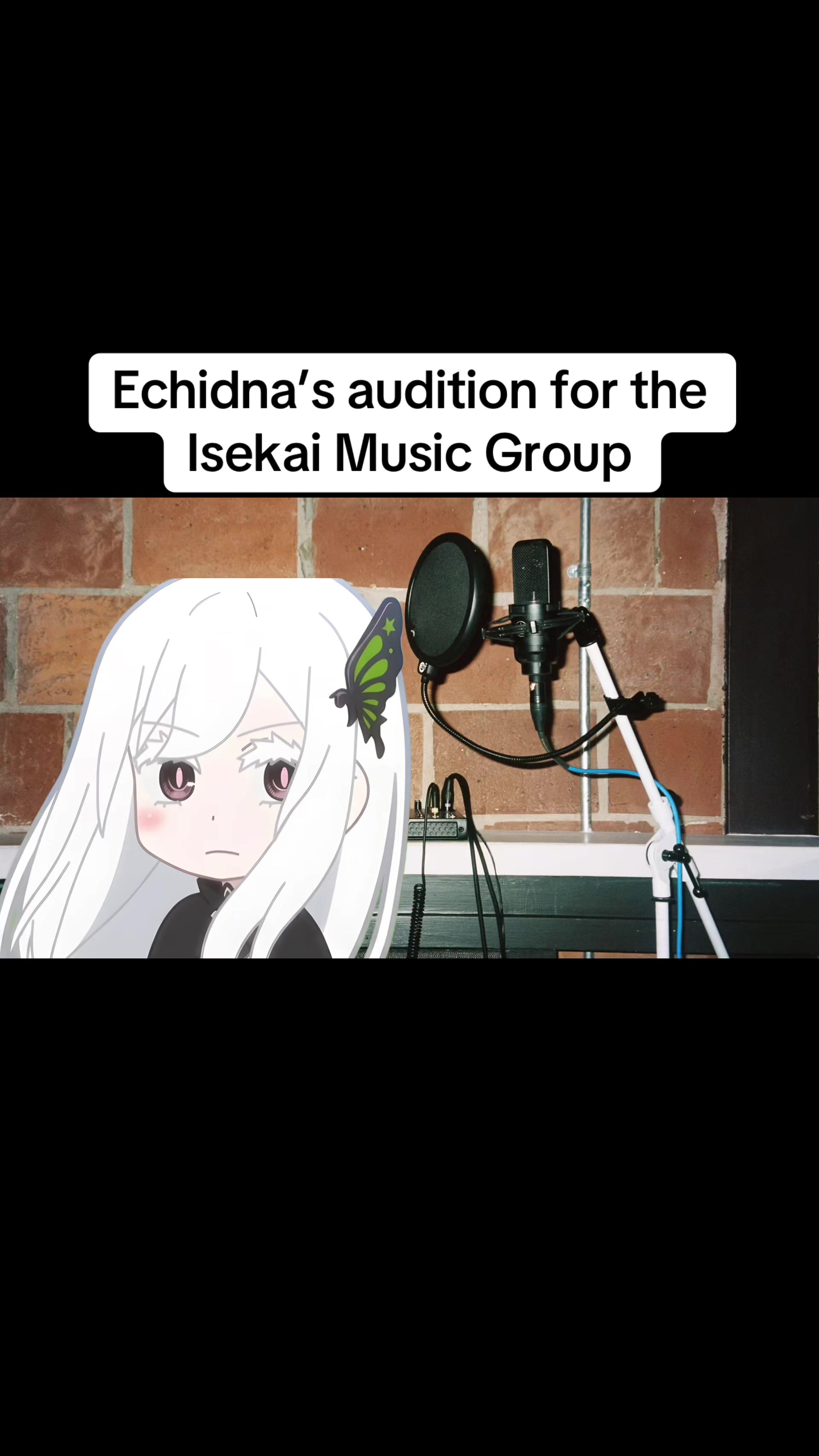 @Milkies/Echidna