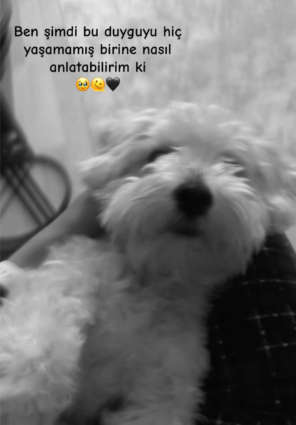 @Elif Acar