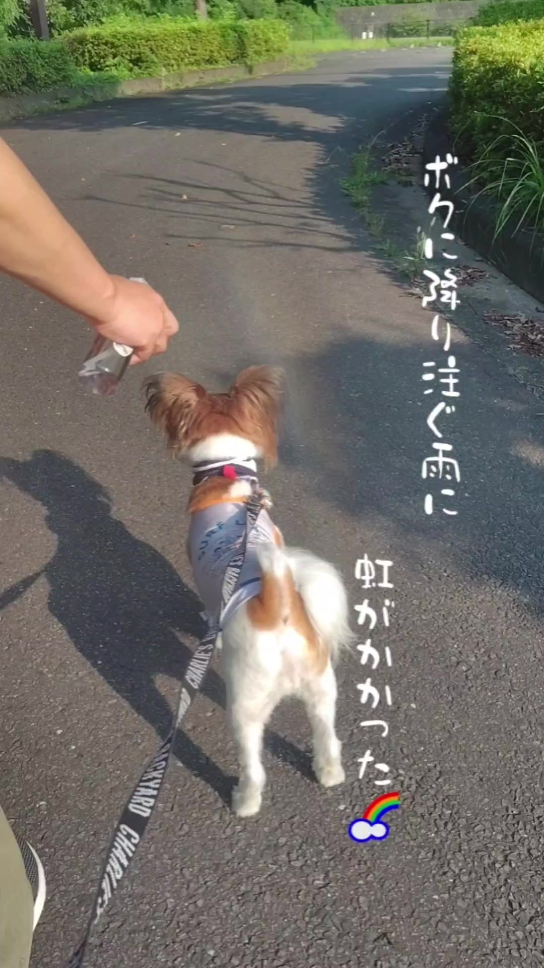 @デカパピひまわり君