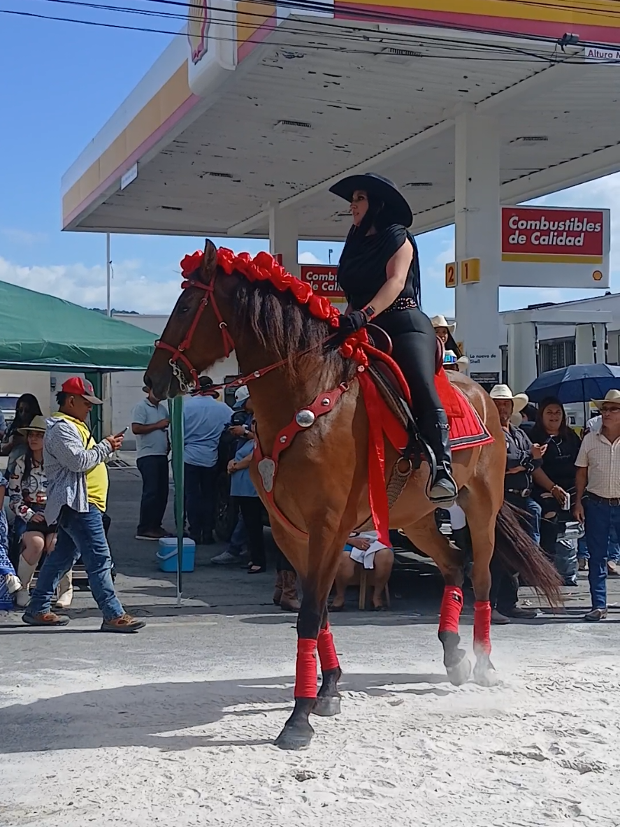 @Byron Icó