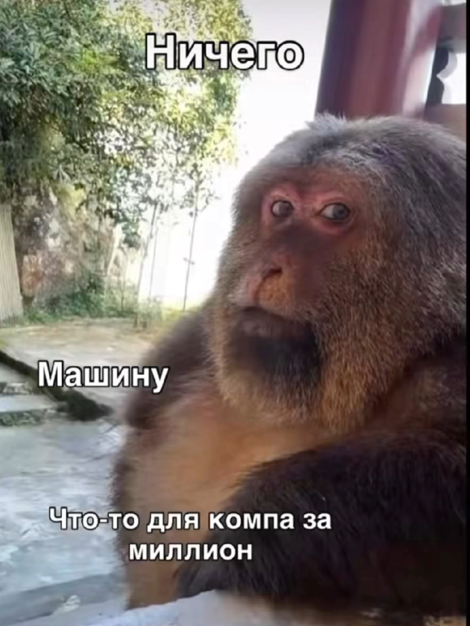 @GOOD1mat